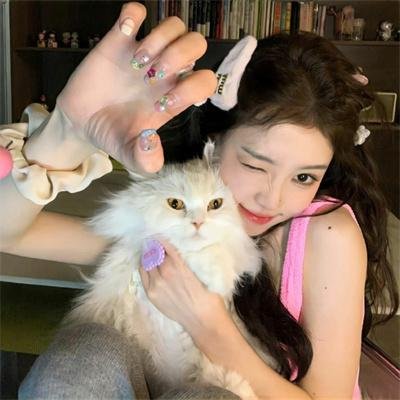 命运冠位指定：序章